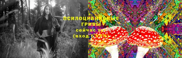 2c-b Бронницы