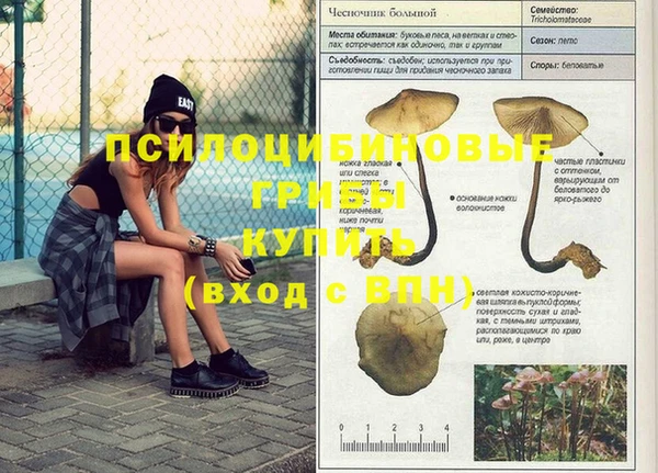 2c-b Бронницы