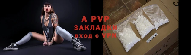 твердый Бородино
