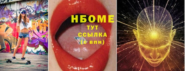 твердый Бородино
