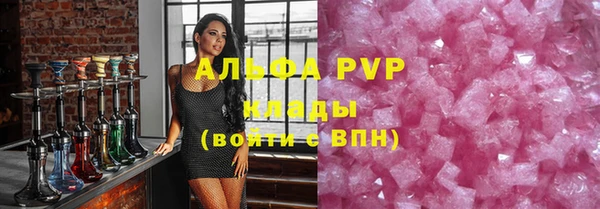 твердый Бородино