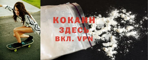 мескалин Богданович