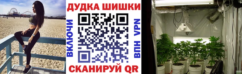 Бошки марихуана VHQ  KRAKEN зеркало  Голицыно 